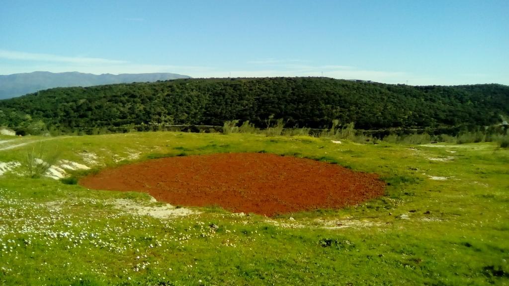 Apartamento O Casa Rural Roquemar Guijo de Granadilla エクステリア 写真